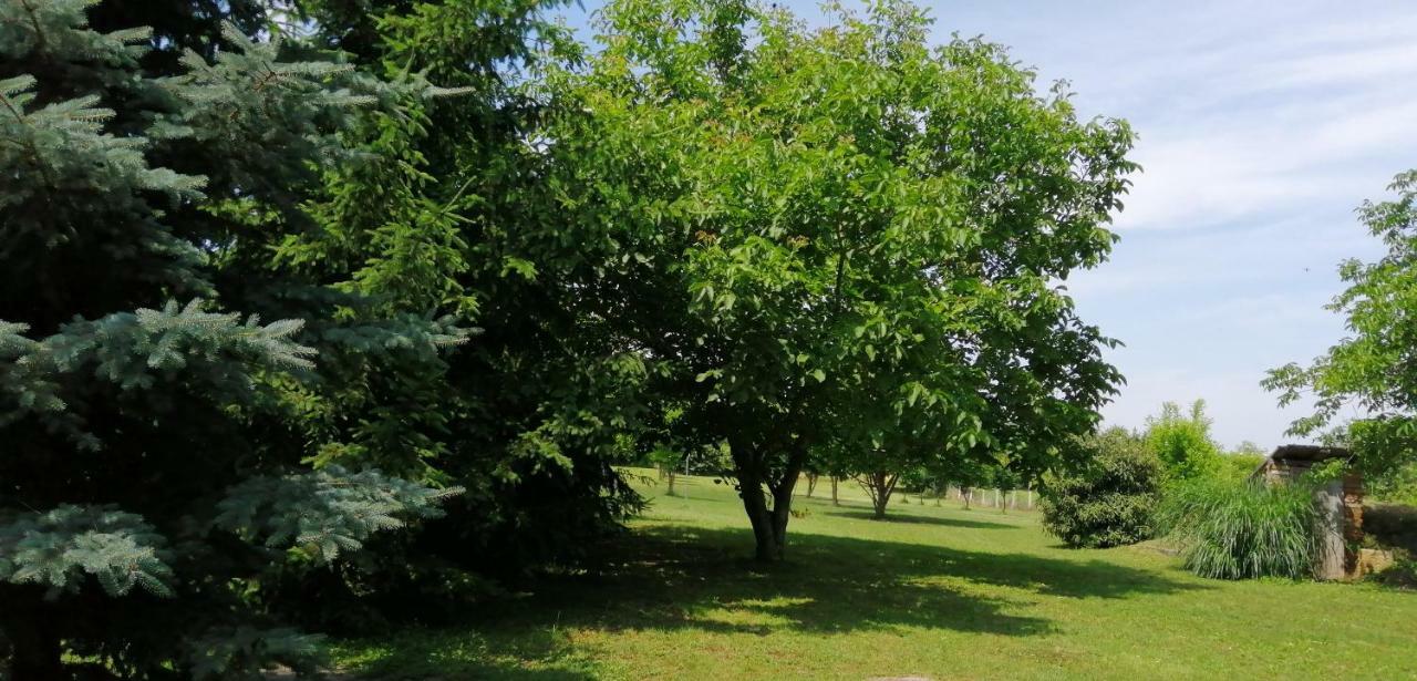 Gesztenye Vendeghaz Ságvár 外观 照片