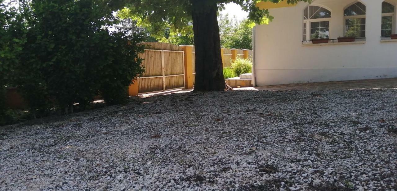 Gesztenye Vendeghaz Ságvár 外观 照片