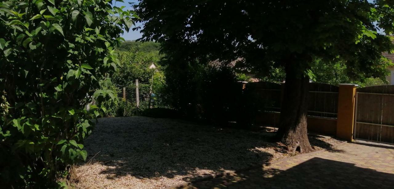 Gesztenye Vendeghaz Ságvár 外观 照片