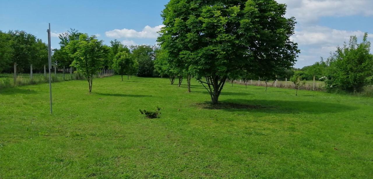 Gesztenye Vendeghaz Ságvár 外观 照片